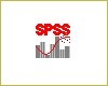 SPSS Reporting